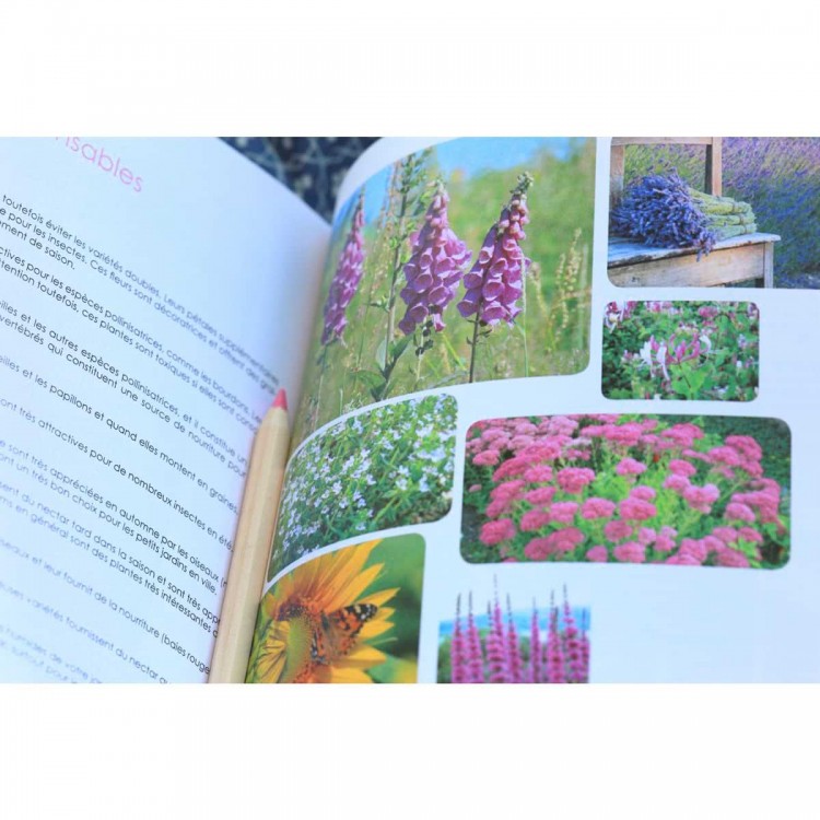 Oiseaux du jardin - Sandra Lefrançois