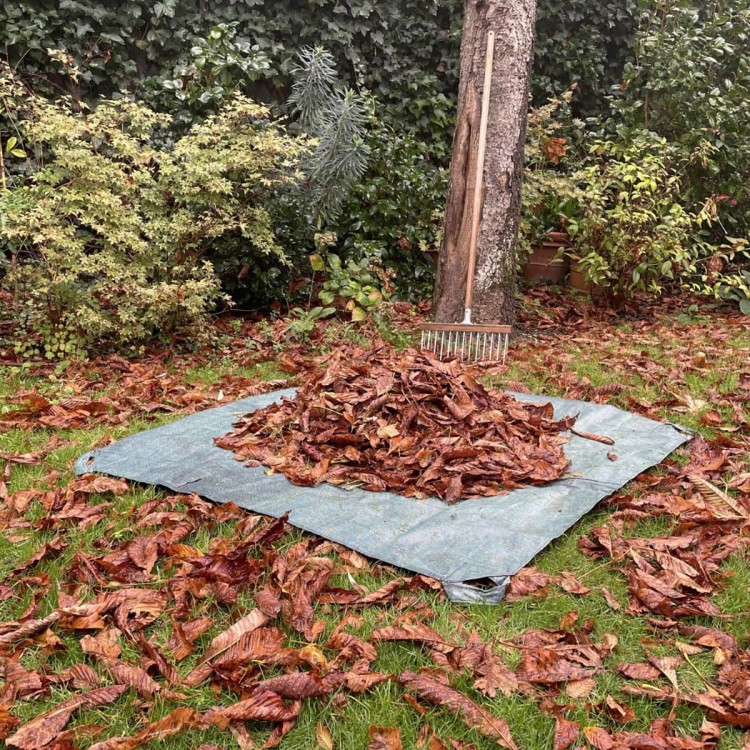 Grande bâche de ramassage déchets verts