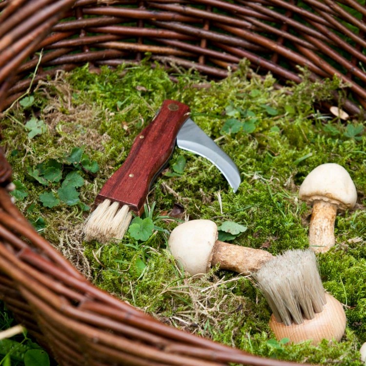 Couteau à Champignons Pliant Couteau à Champignons Pliant