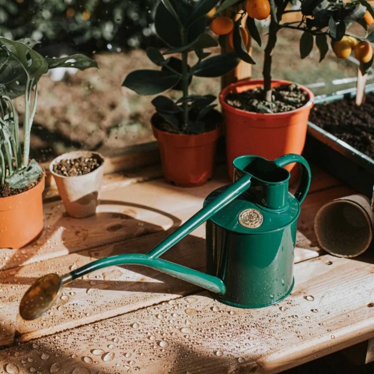 Arrosoir d'Intérieur The Rowley Ripple