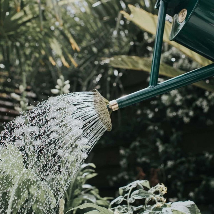 Arrosoir Bearwood Brook