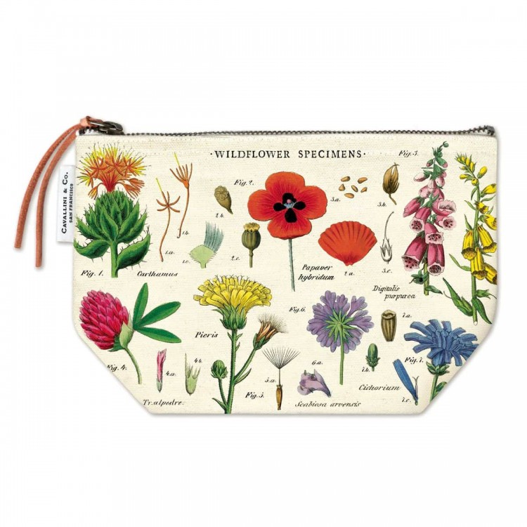 Trousse à Crayon Fleurs Sauvages Cavallini Wildflower specimens