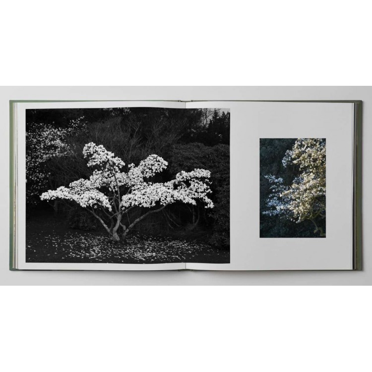 Dans le jardin forêt - Louis Gaillard...