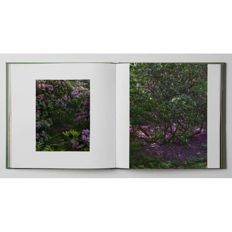 Dans le jardin forêt - Louis Gaillard...