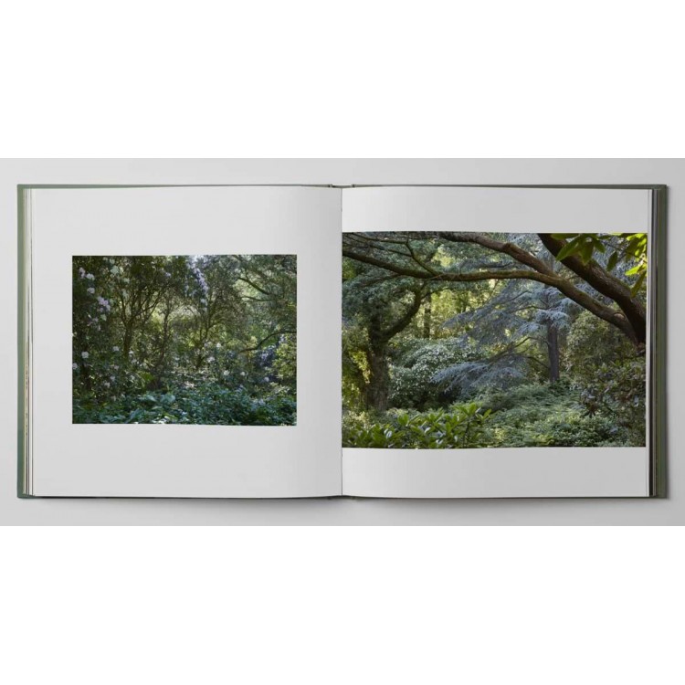 Dans le jardin forêt - Louis Gaillard...