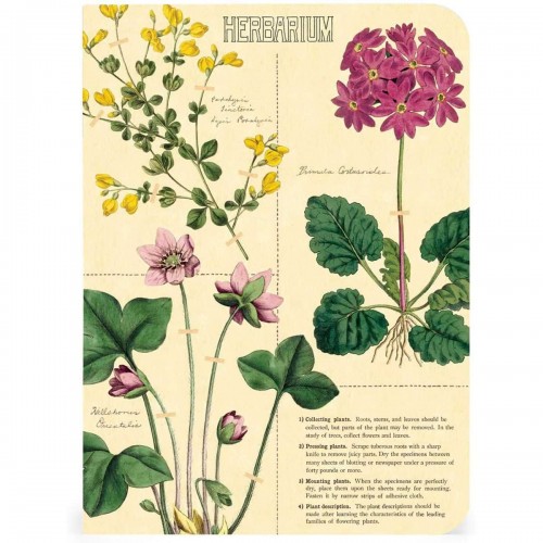 Carnets Herbarium de Cavallini