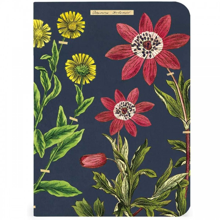 Carnets Herbarium de Cavallini