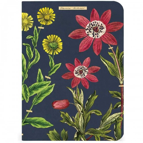 Carnets Herbarium de Cavallini