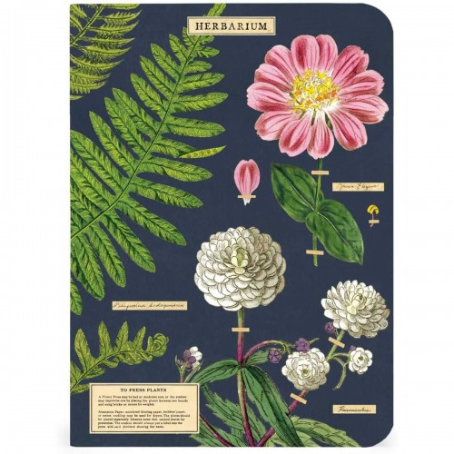 Carnets Herbarium de Cavallini
