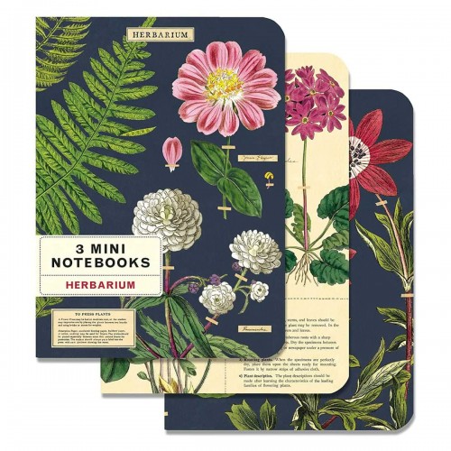 Carnets Herbarium de Cavallini