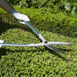 cisailles topiaire et haies burgon and ball 2