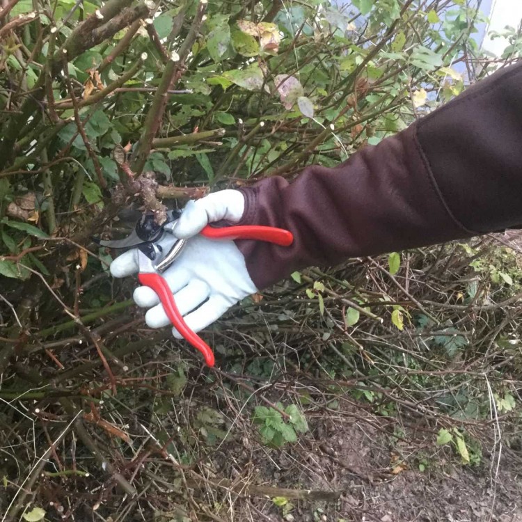 Manchettes en Cuir Manchettes en Cuir