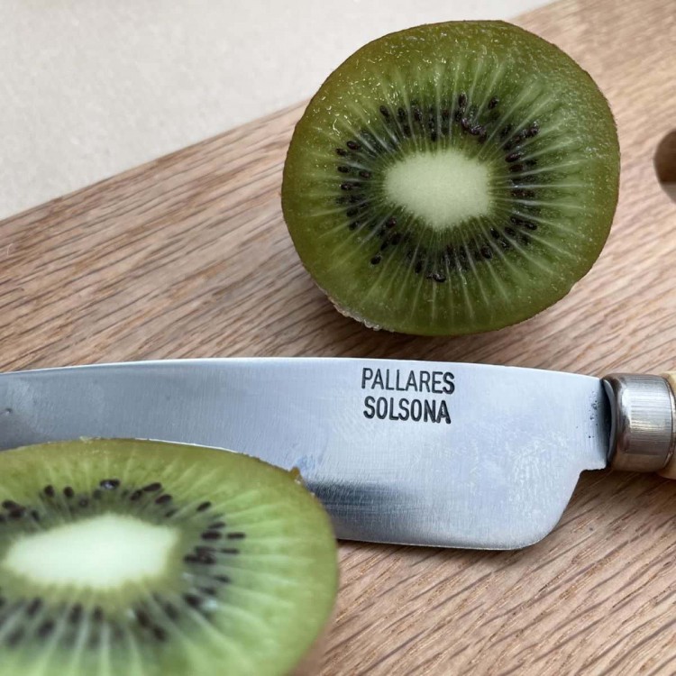 couteau cuisine pallares feuille de laurier
