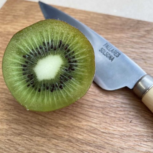 couteau cuisine pallares feuille de laurier