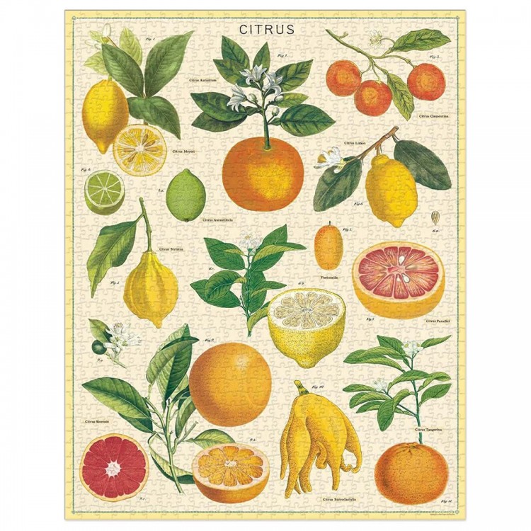 Puzzle Agrumes / Citrus Puzzle Agrumes / Citrus