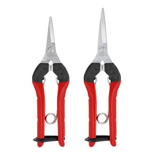 Epinette Felco