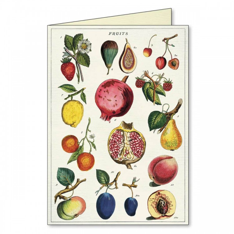 cartes de correspondance Jardin Notecards Cavallini cartes de correspondance Jardin Notecards Cavallini