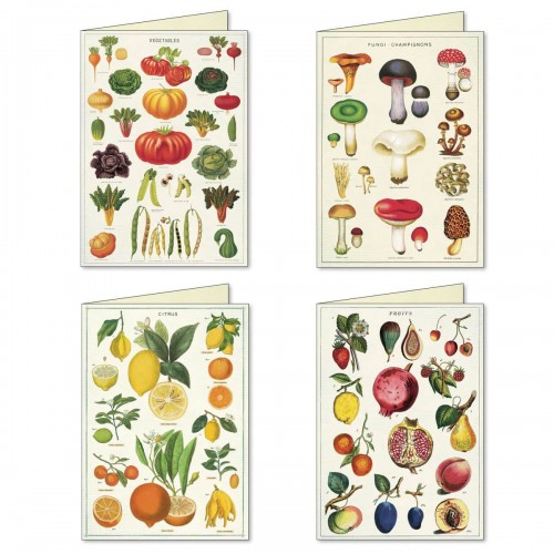 cartes de correspondance Jardin Notecards Cavallini cartes de correspondance Jardin Notecards Cavallini