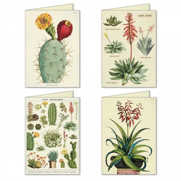 Cartes de Correspondance Cactus et Succulentes Notecards Cavallini