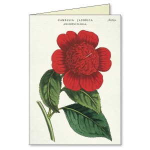 Cartes Doubles & Enveloppes... 2