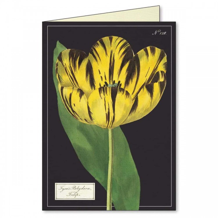 Cartes Doubles & Enveloppes Botanique