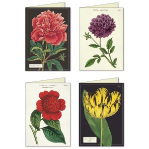 Cartes Doubles & Enveloppes...