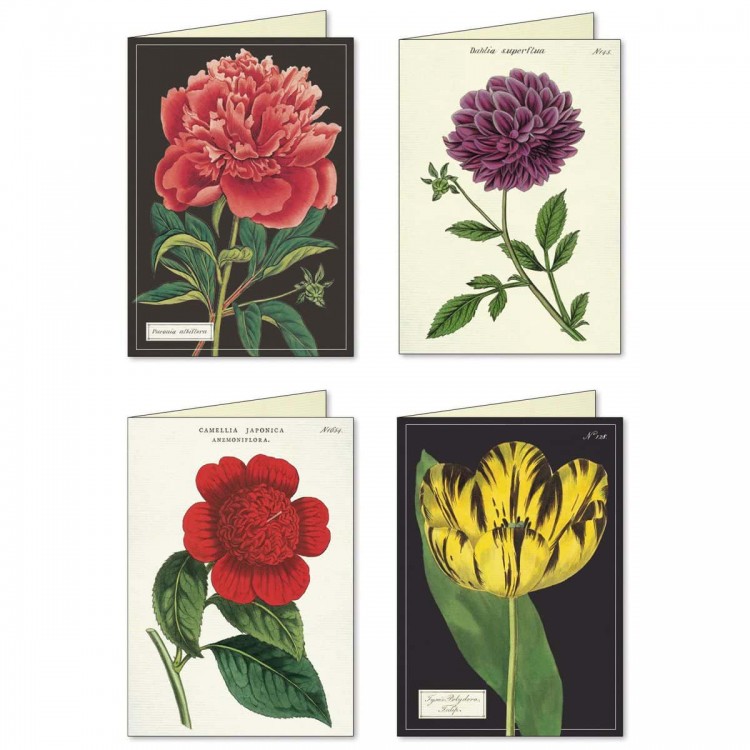 Cartes de Correspondance Botanique Notecards Cavallini