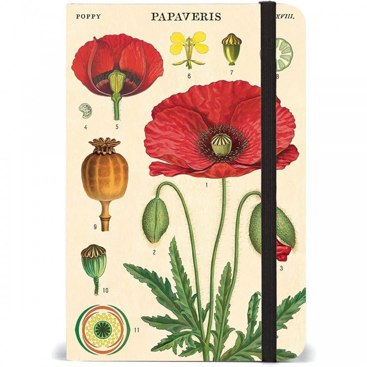 Carnet de notes papaveris coquelicot cavallini