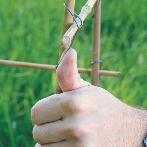 Attache fixation trombone du jardinier