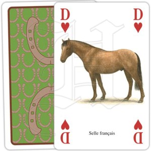 Jeu de Cartes Chevaux & Poneys 2