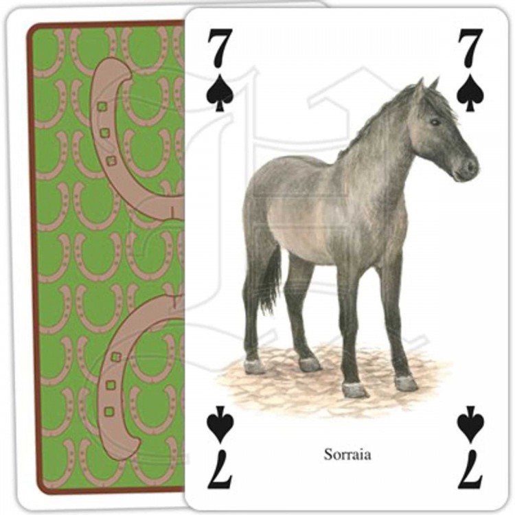 Jeu de Cartes Chevaux & Poneys Sorraia
