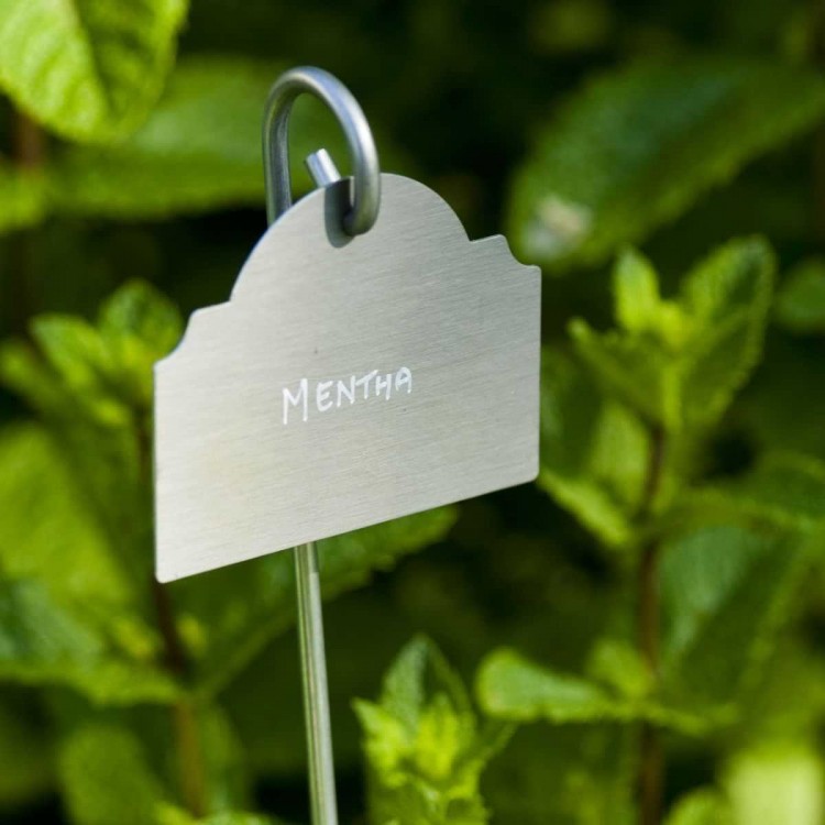 Etiquettes Zinc Le Lude