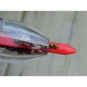 Semoir Seringue de Précision 2