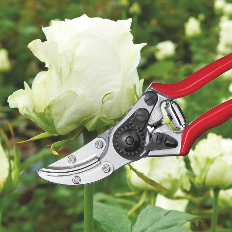 Sécateur Felco 100 Cueille-Roses