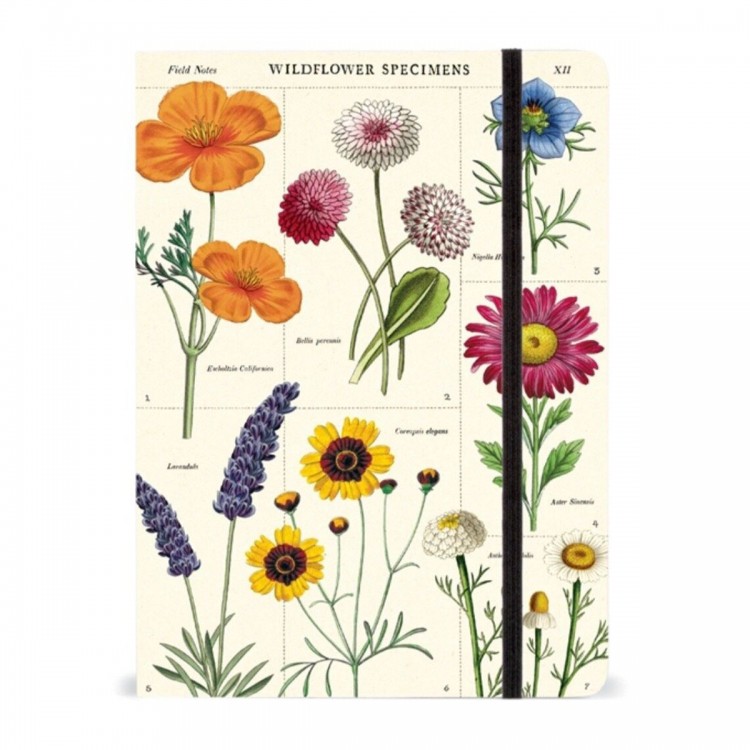 Carnet de Notes Fleurs Sauvages Cavallini