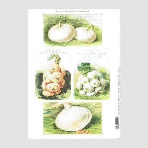 Cahier A5 Radis 2