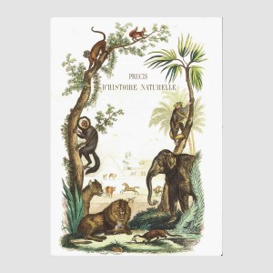 Cahier Précis d'Histoire...