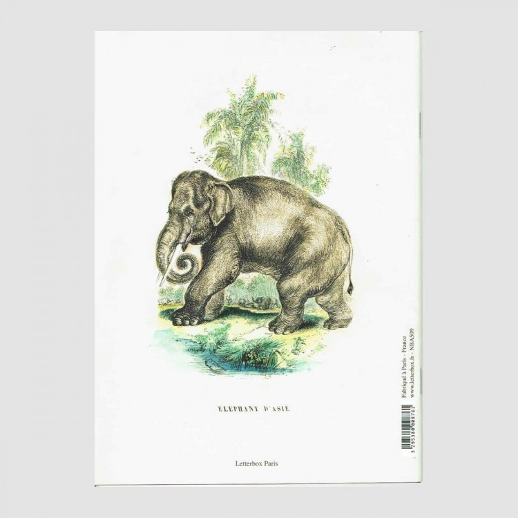Cahier Précis d'Histoire Naturelle Cahier Précis d'Histoire Naturelle