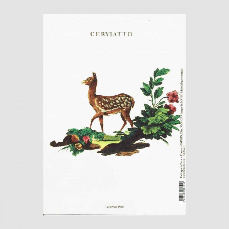 Cahier Faon Cerviatto