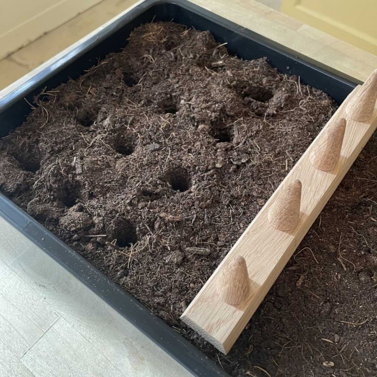 Plantoir 4 Trous en Bois