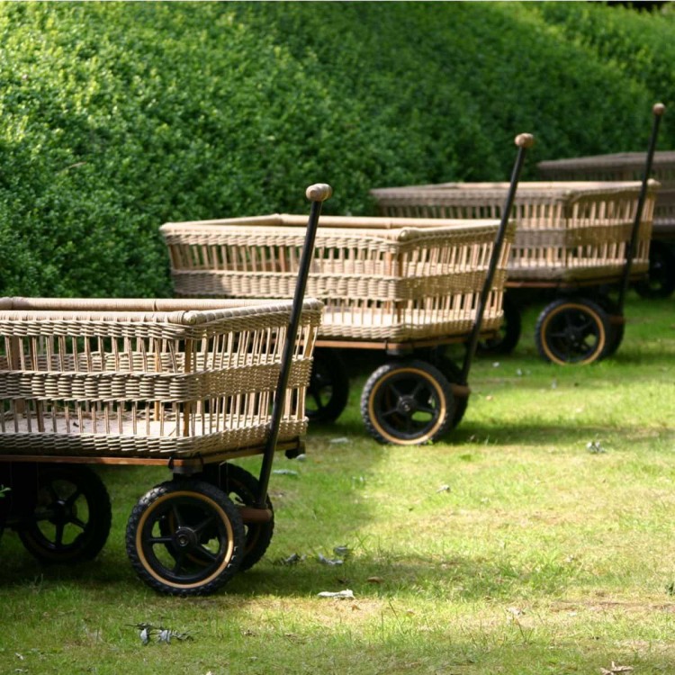 Chariot de jardin avec panier