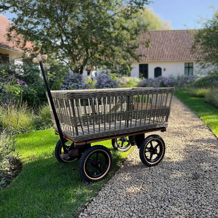Chariot de jardin avec panier