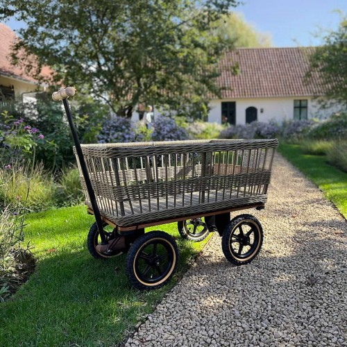 Chariot de jardin avec panier
