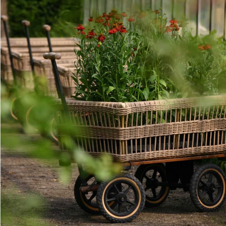 Chariot de jardin avec panier
