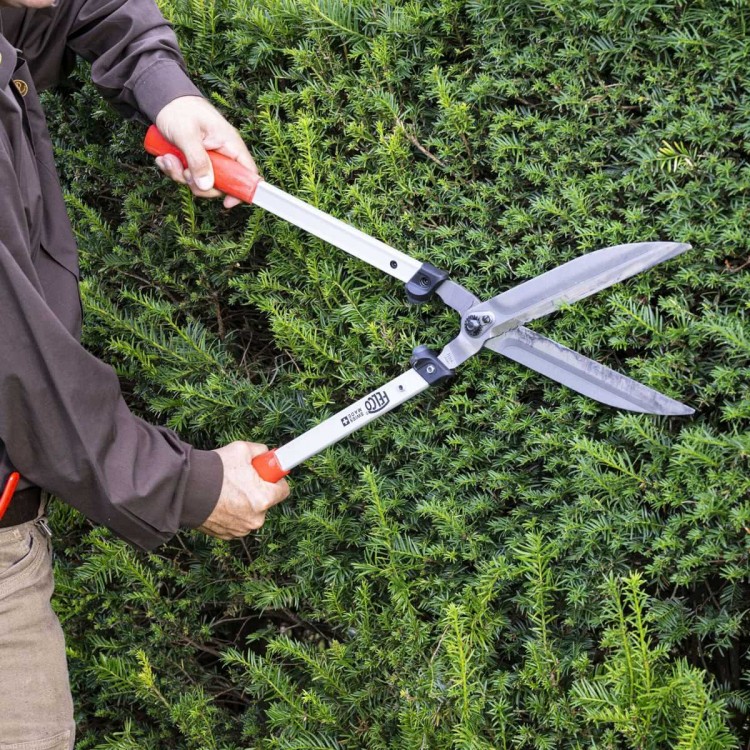 Cisailles Taille-Haie Felco 250