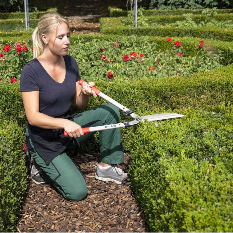 Cisailles Taille-Haie Felco 250