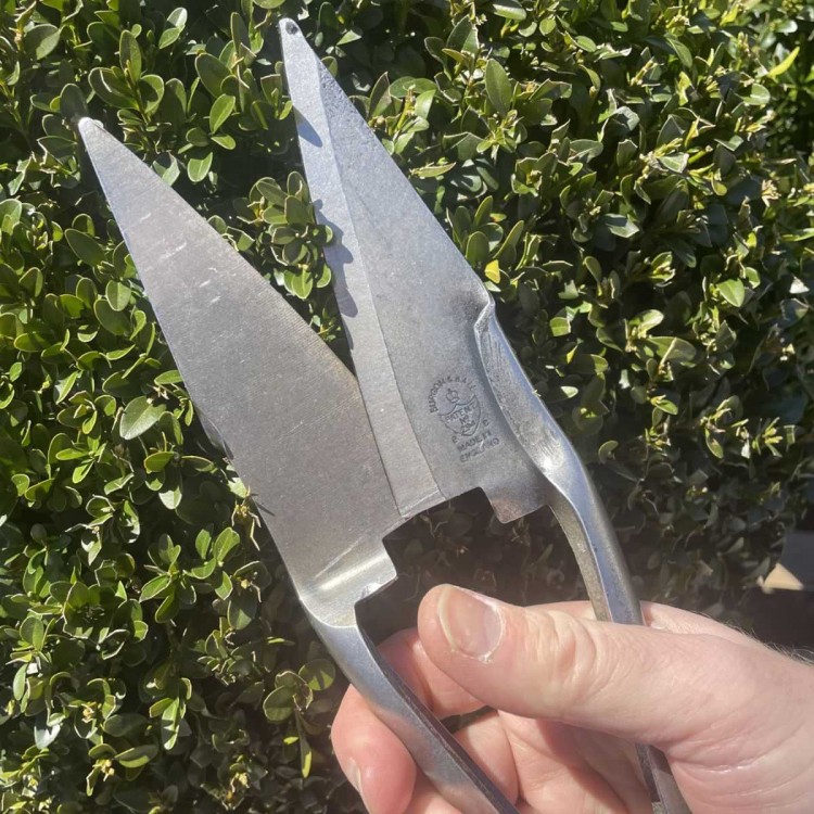 Cisailles pour topiaires forgées