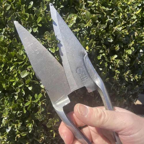 Cisailles pour topiaires forgées