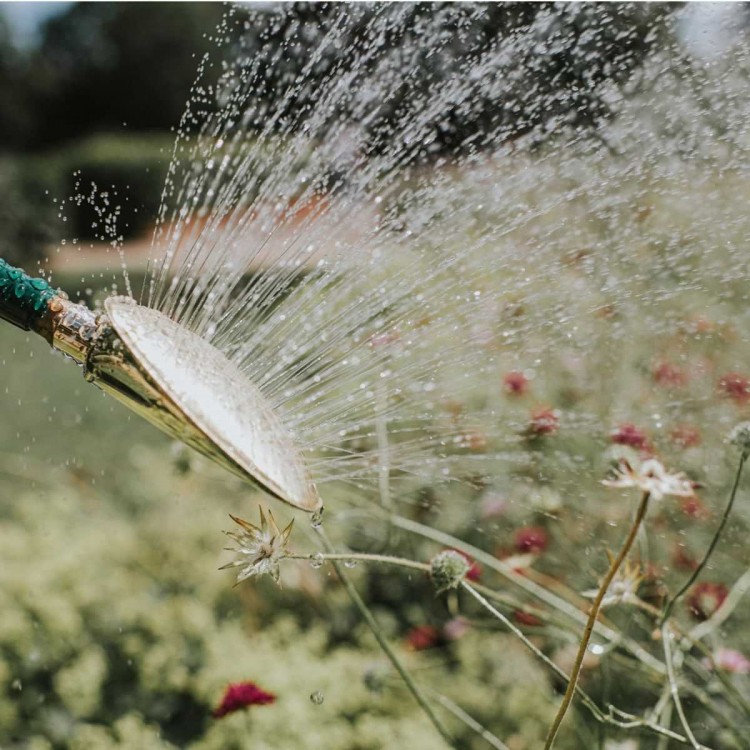 Pomme d'Arrosoir Haws 320