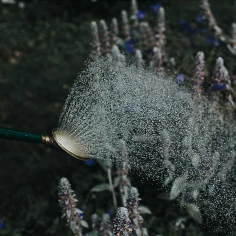 Pomme d'Arrosoir Haws 320